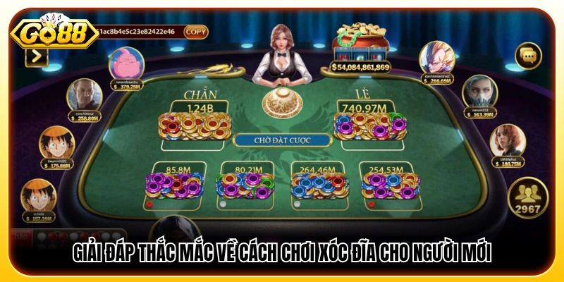 Giải thích chi tiết những vấn đề người mới hay gặp khi chơi