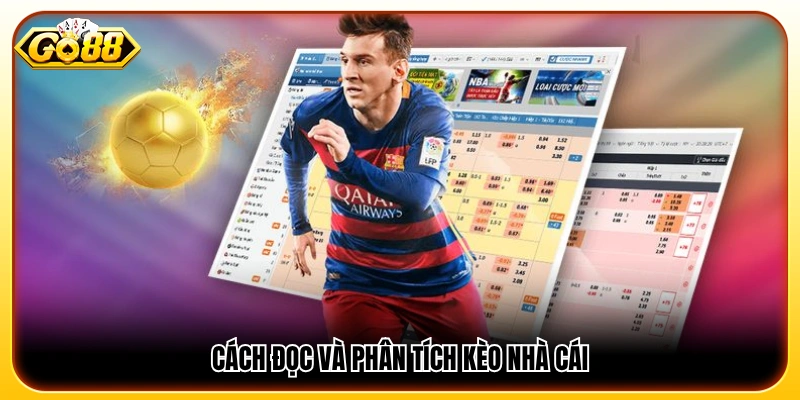 Hướng dẫn cách đọc và hiểu các loại kèo nhà cái 