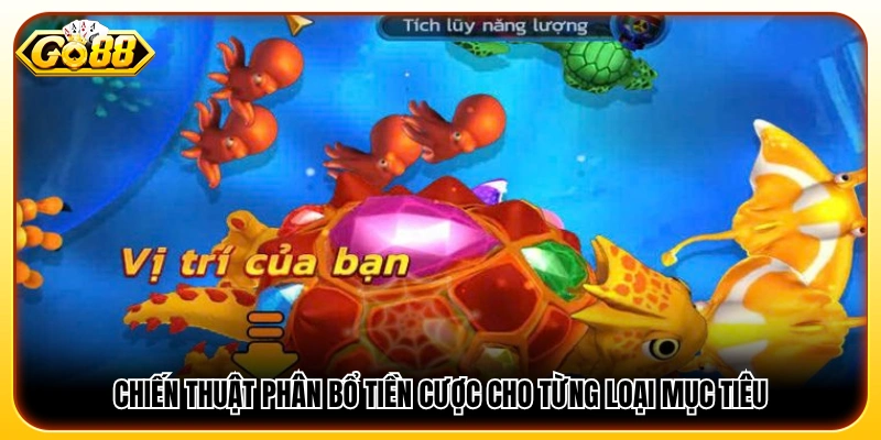 Cách chia tiền cược phù hợp với từng loại cá và mục tiêu