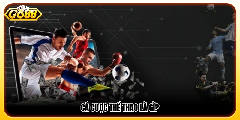 Cá cược thể thao và cách thức hoạt động cơ bản
