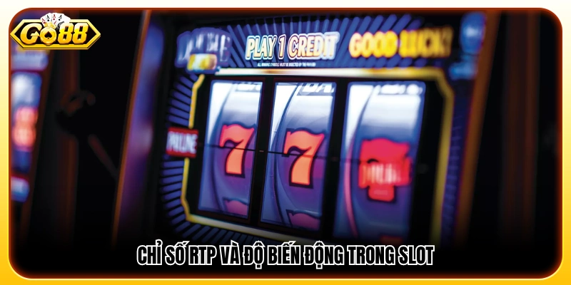Tỷ lệ RTP và mức độ biến động trong trò chơi slot