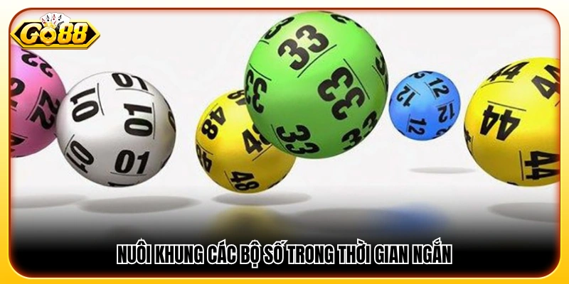 Kinh nghiệm chơi xổ số  duy trì bộ số cố định trong ngắn hạn 