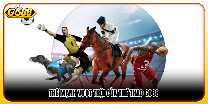 Lợi thế cạnh tranh của chuyên mục thể thao trên GO 88